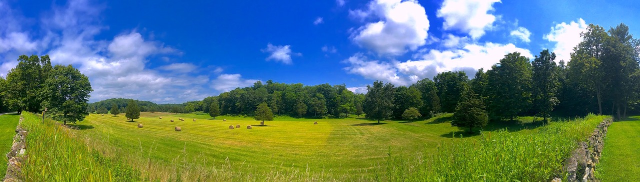 Scenic view of field and forest with blue sky. Photo.