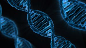 DNA-strings. Illustration.