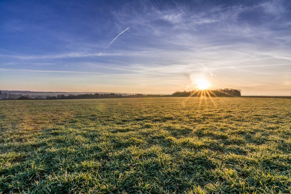 Scenic view of open field in sunset. Photo.
