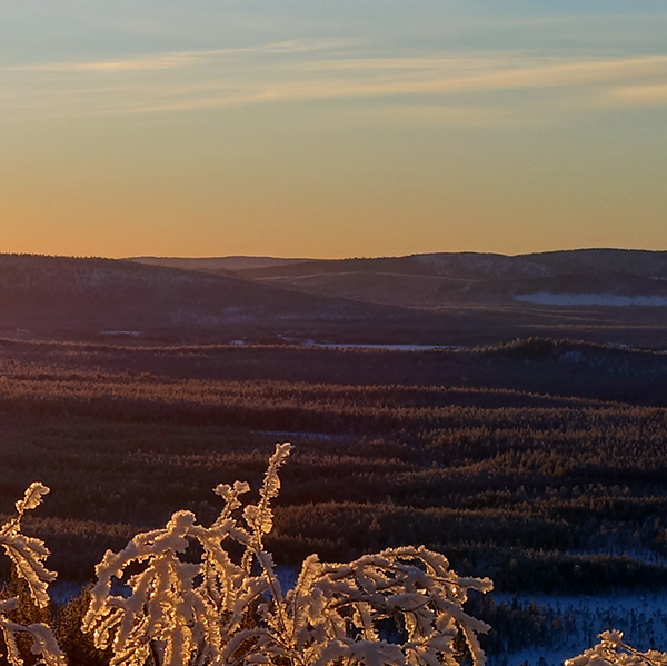NordForNets