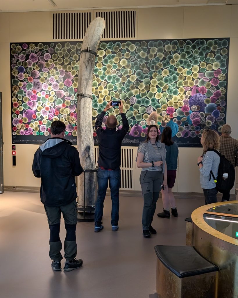 People in front of a big wall picture of coloured circles.