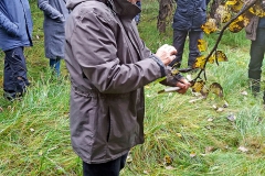 Woman looking at a branch. Photo.