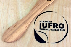 Butter knife lying next to IUFRO logo. Photo.
